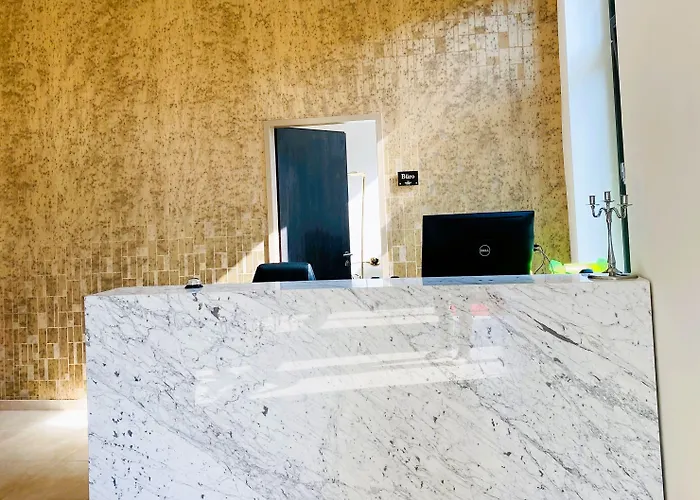 Trip Boutique Messe Frankfurt 酒店 美因河畔法兰克福